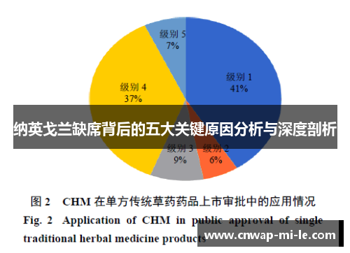纳英戈兰缺席背后的五大关键原因分析与深度剖析