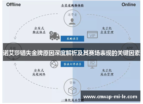 诺艾莎错失金牌原因深度解析及其赛场表现的关键因素 诺艾莎错失金牌原因深度解析及其赛场表现的关键因素