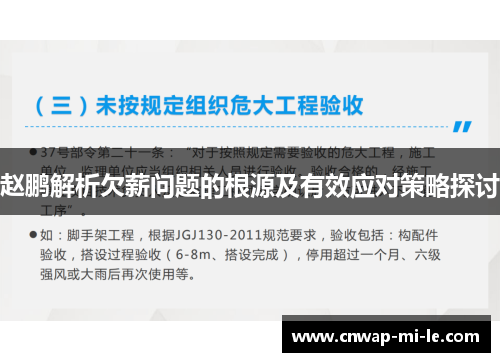 赵鹏解析欠薪问题的根源及有效应对策略探讨