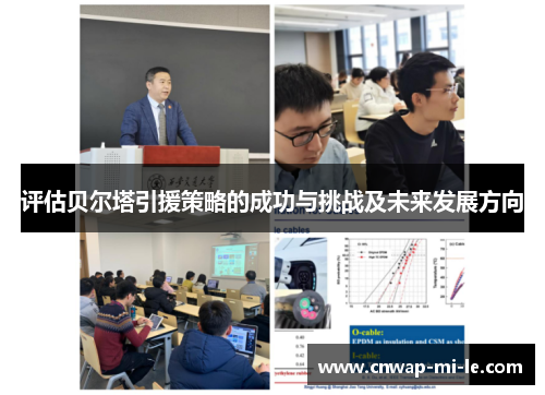 评估贝尔塔引援策略的成功与挑战及未来发展方向