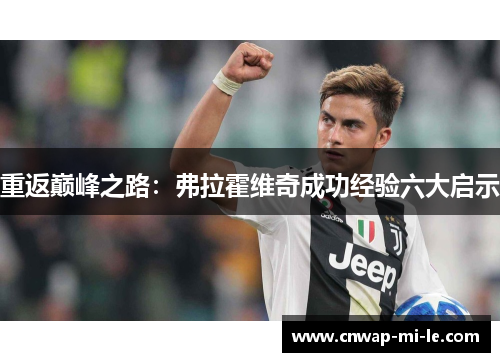 重返巅峰之路:弗拉霍维奇成功经验六大启示 重返巅峰之路:弗拉霍维奇成功经验六大启示