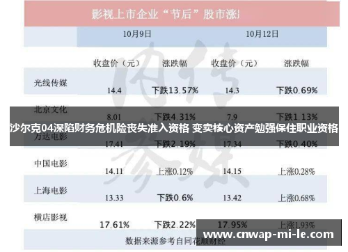 沙尔克04深陷财务危机险丧失准入资格 变卖核心资产勉强保住职业资格 沙尔克04深陷财务危机险丧失准入资格 变卖核心资产勉强保住职业资格